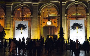 gli-invitati-per-la-prima-serale-del-film_22464570043_o